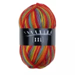 Atelier Zitron Trekking 4-ply Color 100g