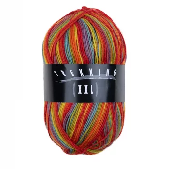 Atelier Zitron Trekking 4-ply Color 100g