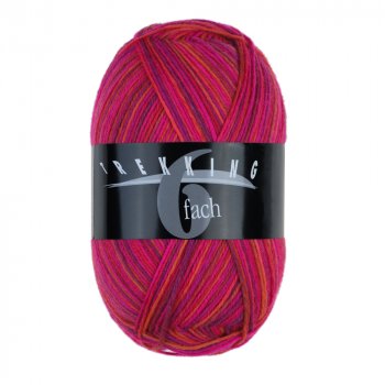 Atelier Zitron Trekking 6-ply Color 150g