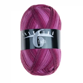 Atelier Zitron Trekking 6-fils Color 150g