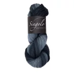 Atelier Zitron Singolo 100g - Promotion