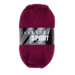 Atelier Zitron Trekking 4-fils Uni Sport 100g - Promotion