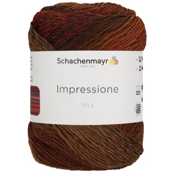 Schachenmayr Impressione 100g - Promotion