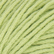 Atelier Zitron Echt (kbA) 50g : 08 pistazie