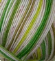 Atelier Zitron Trekking 4-ply Color 100g : 728