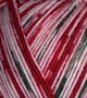 Atelier Zitron Trekking 4-fils Color 100g : 752 noel