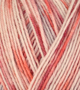 Atelier Zitron Trekking 4-ply Color 100g : 763 christmas