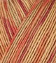 Atelier Zitron Trekking 4-ply Color 100g : 765 christmas