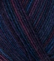 Atelier Zitron Trekking 4-fils Color 100g : 793