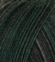 Atelier Zitron Trekking 4-ply Color 100g : 794