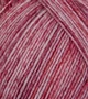 Atelier Zitron Trekking 4-fils Color 100g : 798