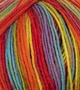 Atelier Zitron Trekking 4-ply Color 100g : 800