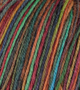 Atelier Zitron Trekking 4-fils Color 100g : 819