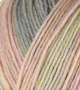Atelier Zitron Trekking 4-fils Color 100g : 836