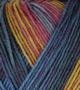 Atelier Zitron Trekking 4-fils Color 100g : 838