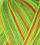 Atelier Zitron Trekking 4-fils Color 100g : 839