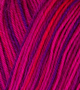 Atelier Zitron Trekking 4-fils Color 100g : 840