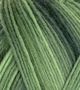 Atelier Zitron Trekking 6-fils Color 150g : 2001