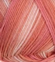 Atelier Zitron Trekking 6-fils Color 150g : 2004