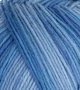 Atelier Zitron Trekking 6-fils Color 150g : 2005