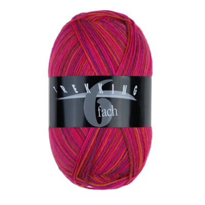 Atelier Zitron Trekking 6-ply Color 150g