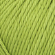 Schachenmayr Catania 50g : 205 apple